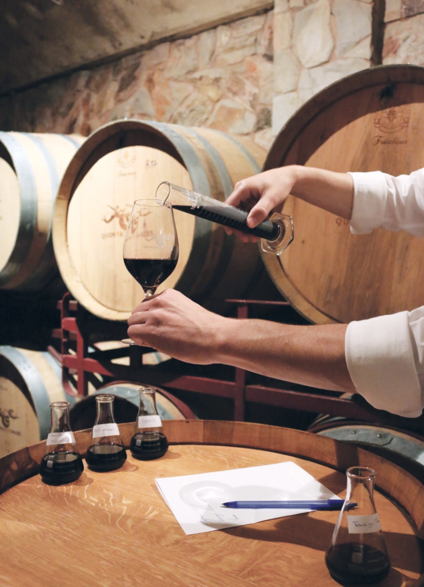 BOTTLE BLENDING: CREATE YOUR OWN WINE