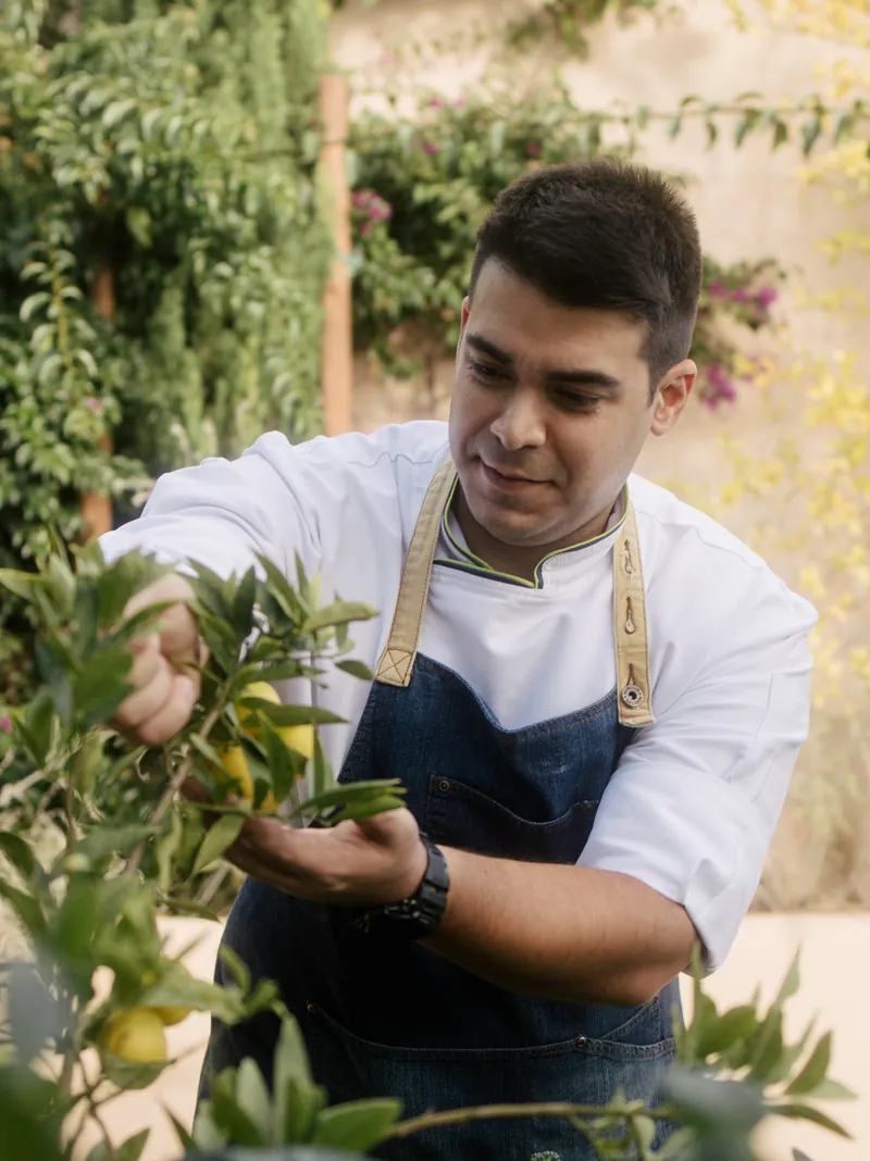 Chef Ricardo Lucas picking lemons in the kitchen garden