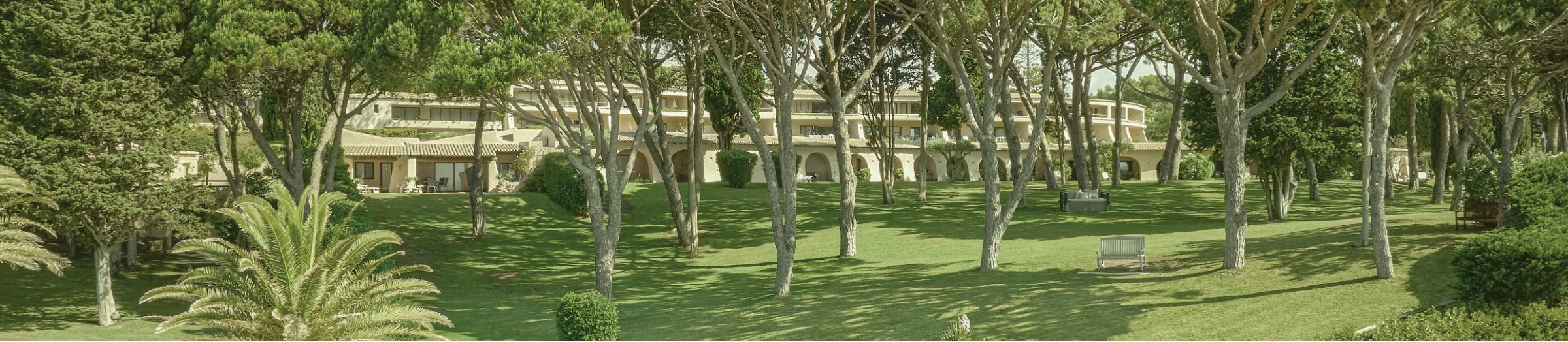 The Vilalara gardens among the pines, with the hotel behind